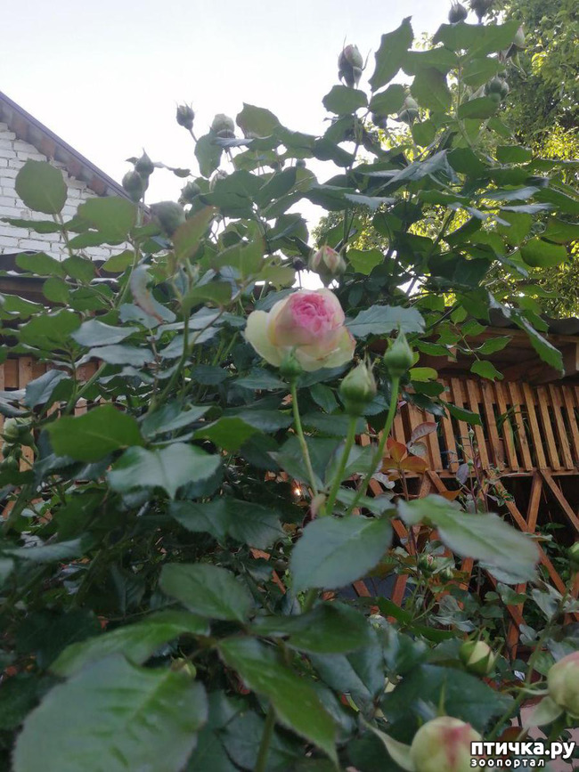 ���� 11: � ����� �����-3