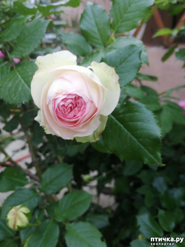 ���� 12: � ����� �����-3