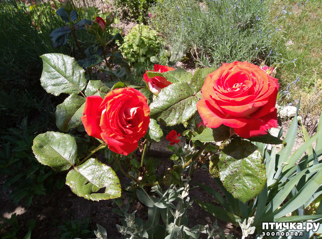 ���� 2: ������� ��� ���������