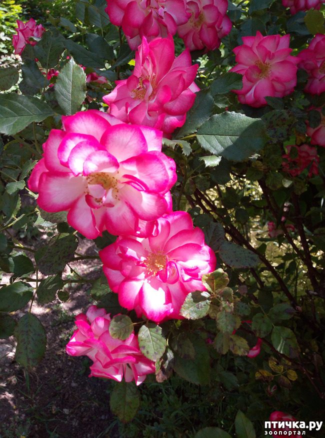 ���� 3: ������� ��� ���������