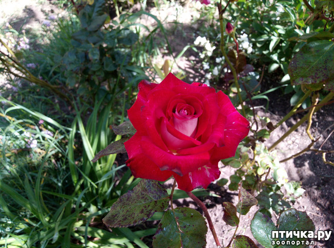 ���� 4: ������� ��� ���������