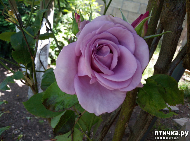 ���� 6: ������� ��� ���������