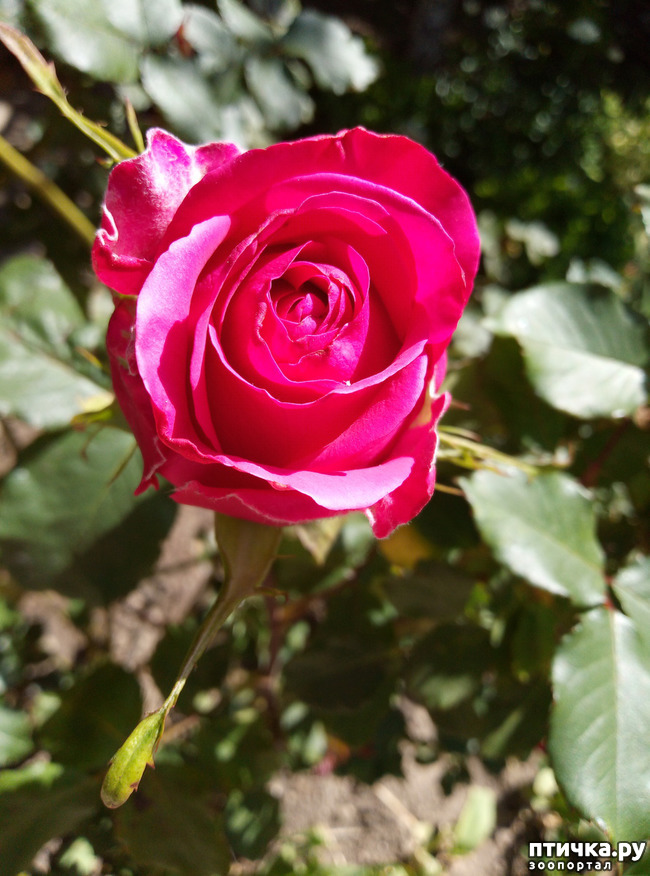 ���� 7: ������� ��� ���������