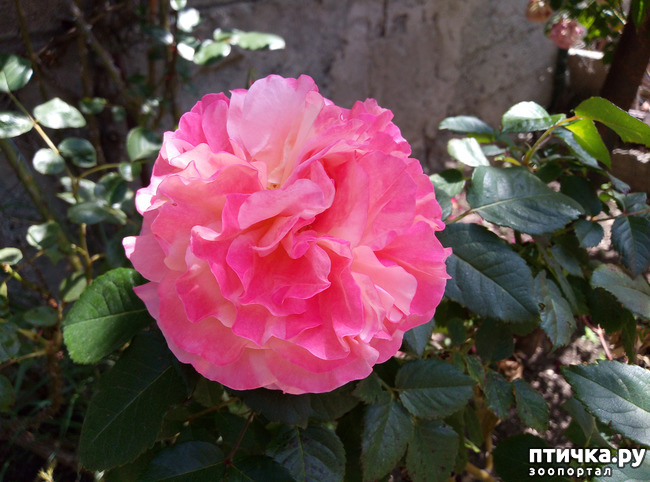 ���� 9: ������� ��� ���������