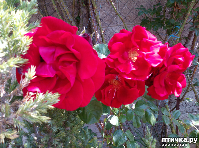 ���� 10: ������� ��� ���������