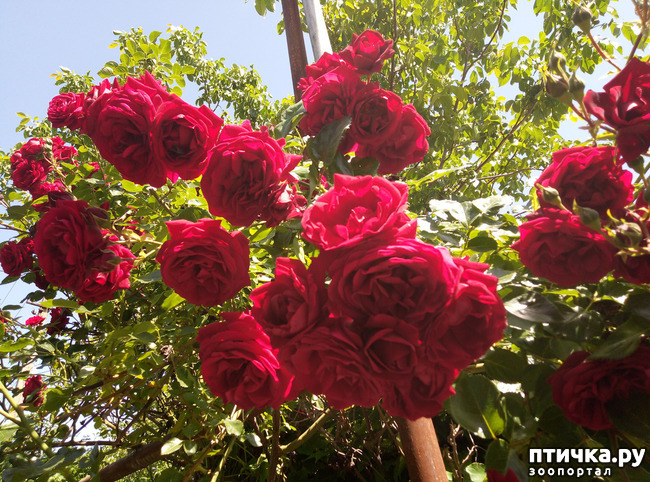 ���� 12: ������� ��� ���������