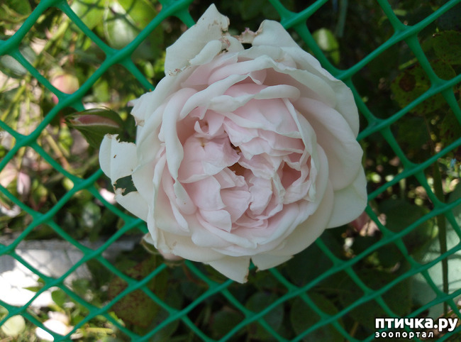 ���� 14: ������� ��� ���������