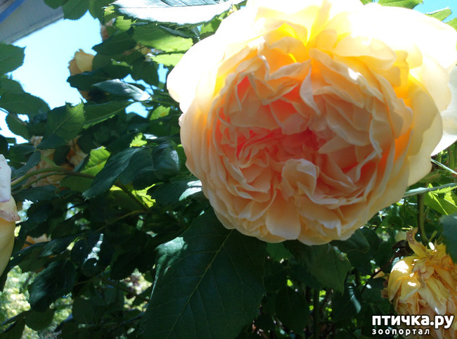 ���� 15: ������� ��� ���������