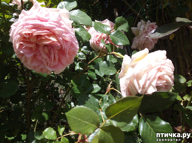 ���� 18: ������� ��� ���������