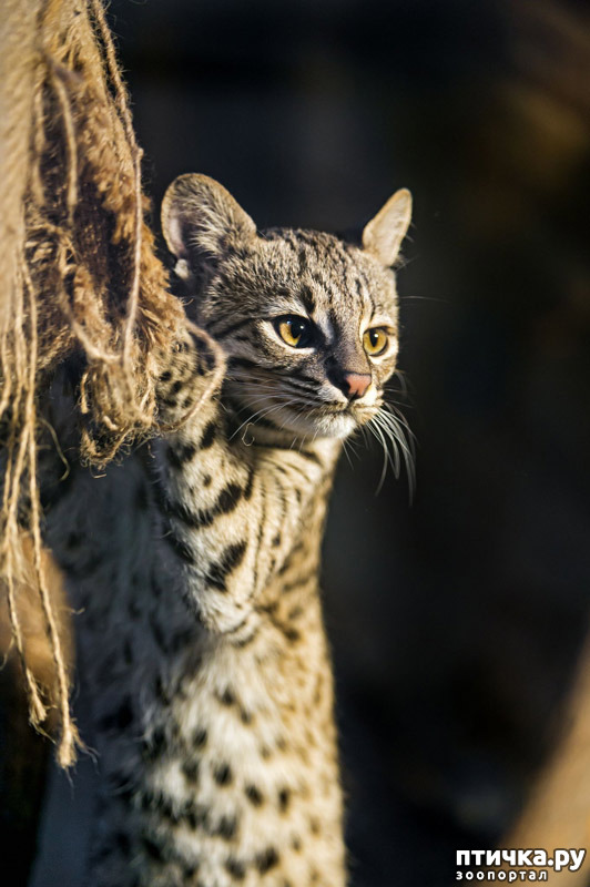 ���� 8: ����� �������