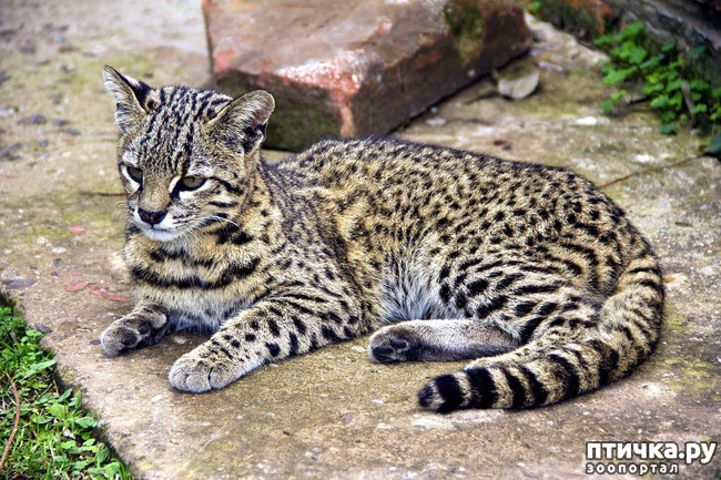 ���� 2: ����� �������