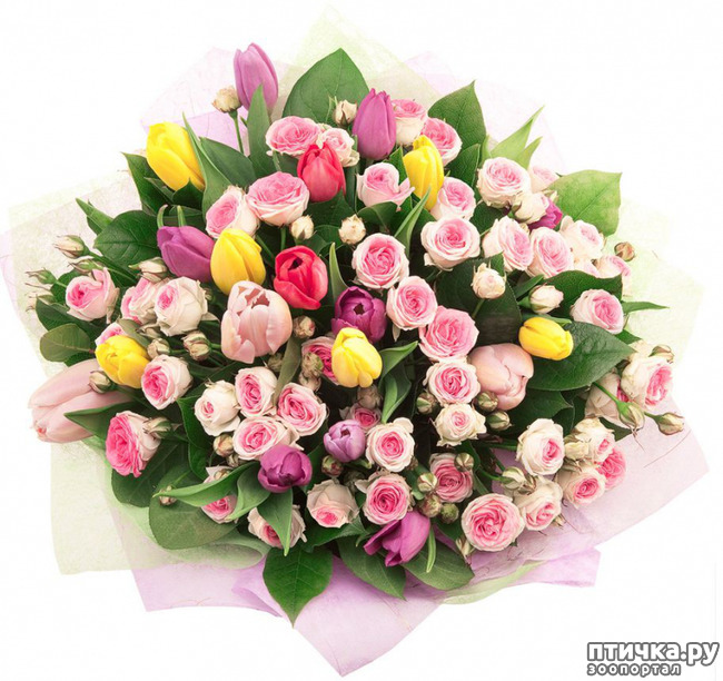 ���� 5: ����, ��� 