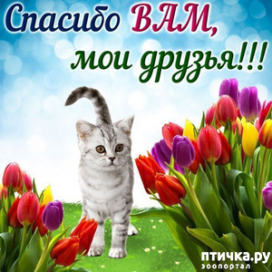 ����: ����, ��� "�����" �� ����