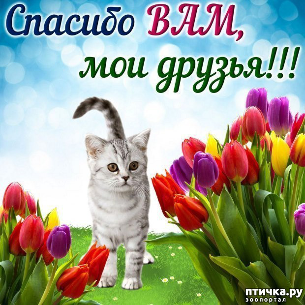 ���� 1: ����, ��� 