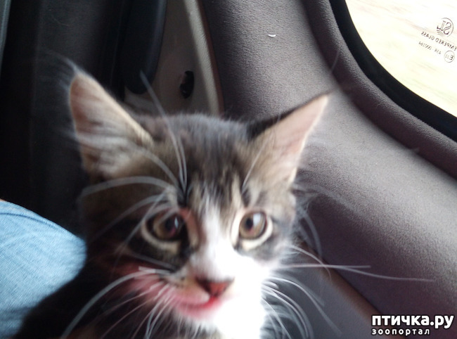 ���� 5: ��� ����� ��������� � ������ ����� � ������ ��� ��� ��� ����� ���� �������