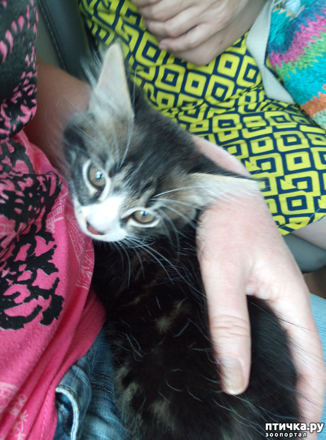 ���� 6: ��� ����� ��������� � ������ ����� � ������ ��� ��� ��� ����� ���� �������