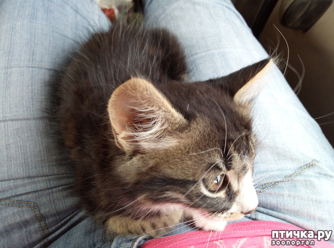 ���� 8: ��� ����� ��������� � ������ ����� � ������ ��� ��� ��� ����� ���� �������