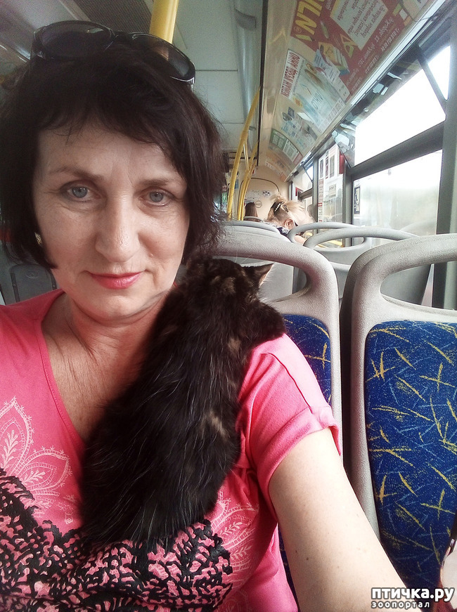 ���� 9: ��� ����� ��������� � ������ ����� � ������ ��� ��� ��� ����� ���� �������