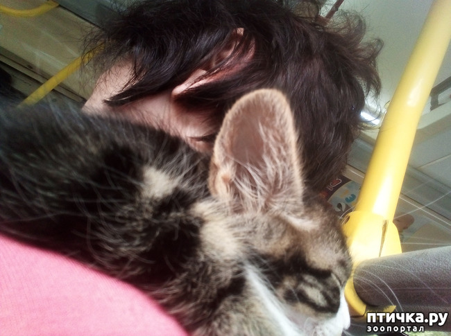 ���� 10: ��� ����� ��������� � ������ ����� � ������ ��� ��� ��� ����� ���� �������