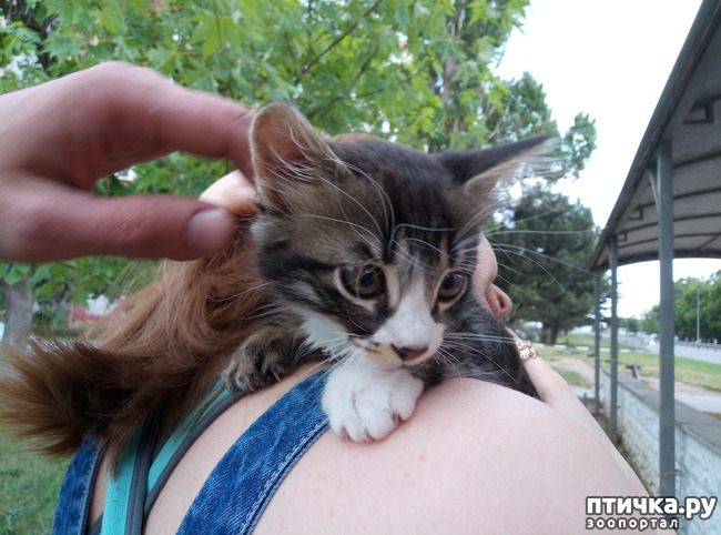 ���� 12: ��� ����� ��������� � ������ ����� � ������ ��� ��� ��� ����� ���� �������