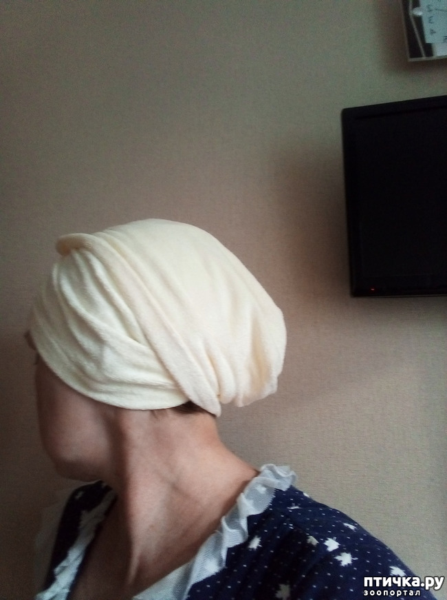 ���� 15: ��� ����� ��������� � ������ ����� � ������ ��� ��� ��� ����� ���� �������