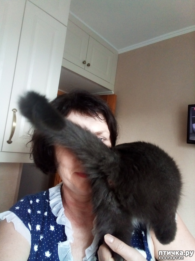 ���� 16: ��� ����� ��������� � ������ ����� � ������ ��� ��� ��� ����� ���� �������