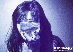 ����: ������������ ��������� ������