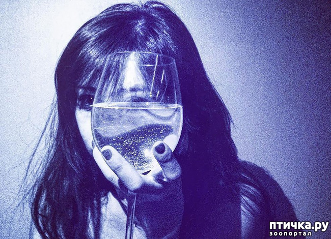 ���� 1: ������������ ��������� ������