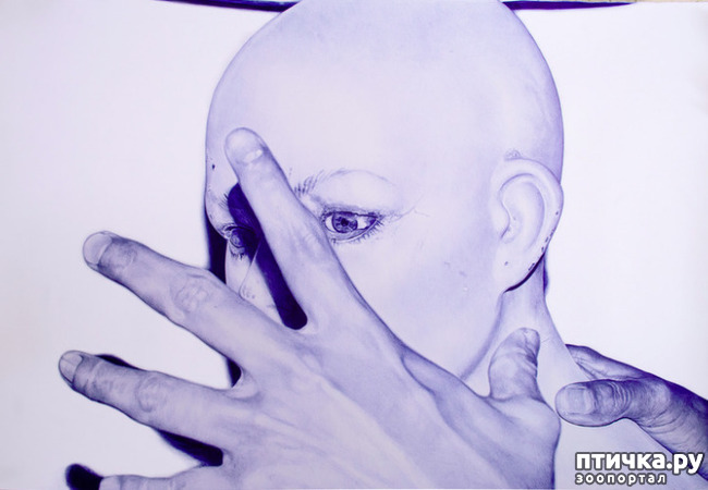 ���� 7: ������������ ��������� ������