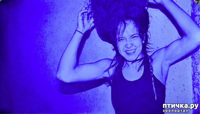 ���� 6: ������������ ��������� ������