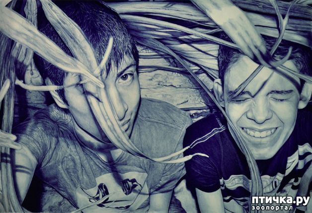 ���� 4: ������������ ��������� ������