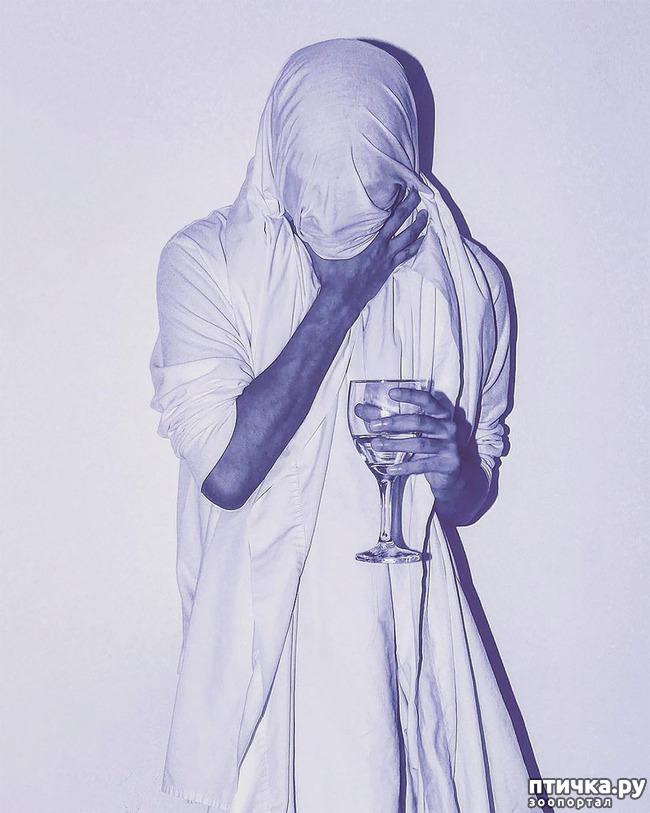 ���� 11: ������������ ��������� ������