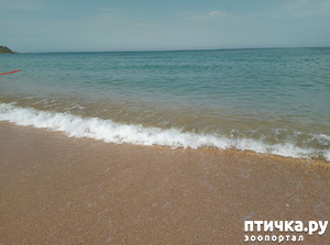 ����: ��� ����� ��������� � ������ ����� � ������ ��� ��� ��� ����� ���� �������