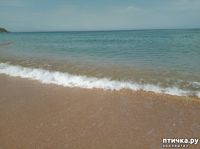 ���� 1: ��� ����� ��������� � ������ ����� � ������ ��� ��� ��� ����� ���� �������