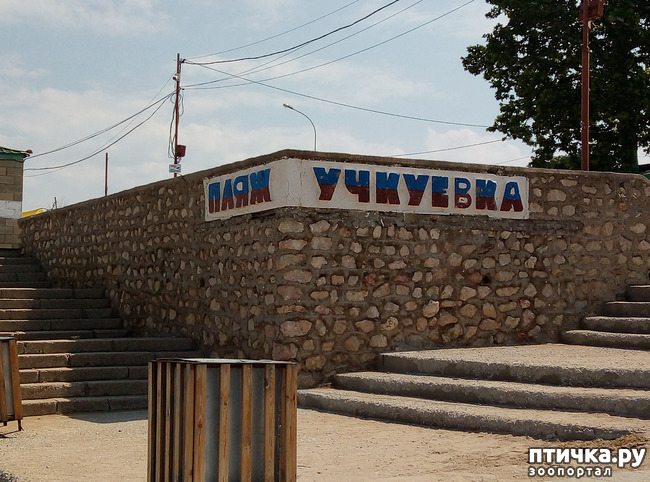 ���� 2: ��� ����� ��������� � ������ ����� � ������ ��� ��� ��� ����� ���� �������