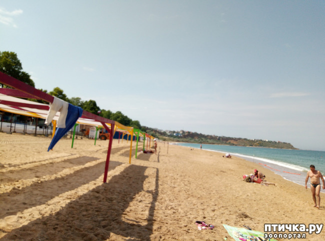 ���� 3: ��� ����� ��������� � ������ ����� � ������ ��� ��� ��� ����� ���� �������