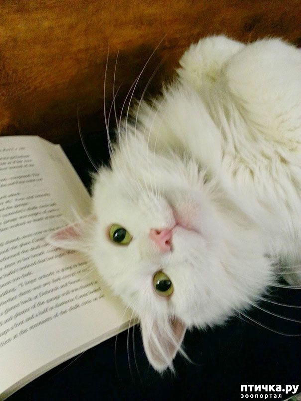 ���� 4: � ���� ����� ����� ������?