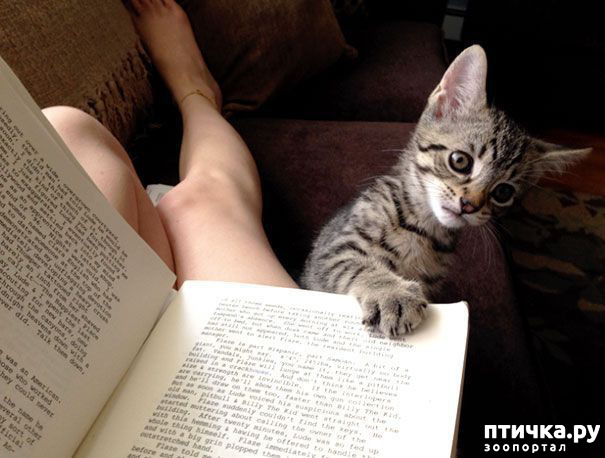 ���� 5: � ���� ����� ����� ������?