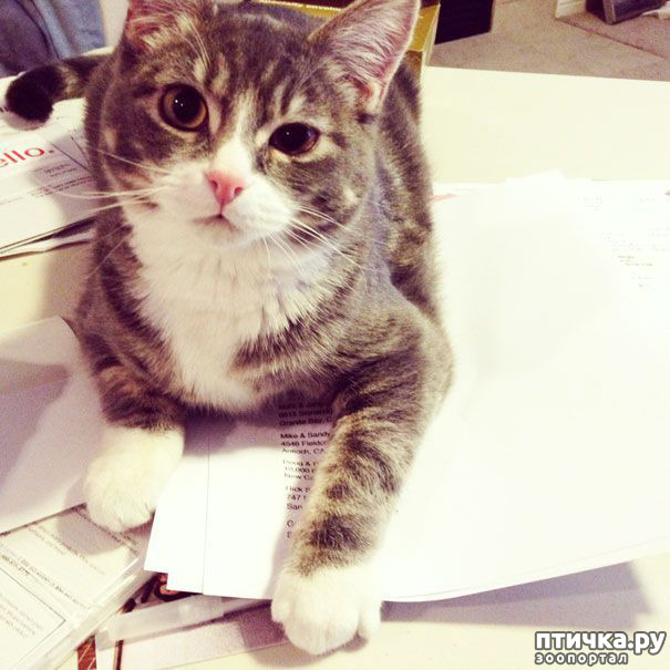 ���� 7: � ���� ����� ����� ������?