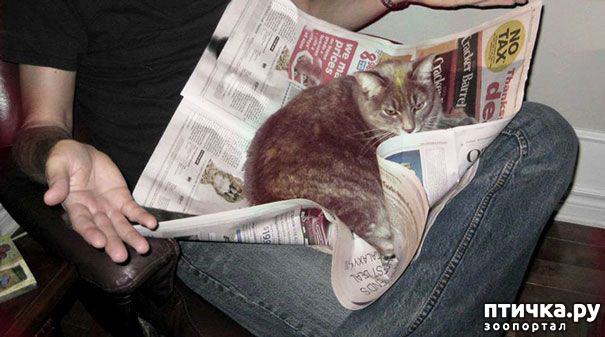 ���� 8: � ���� ����� ����� ������?