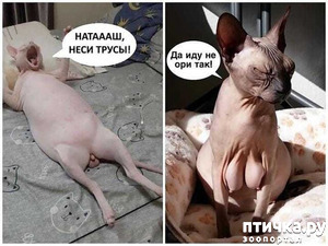 ����: ������� �� �������� �����...