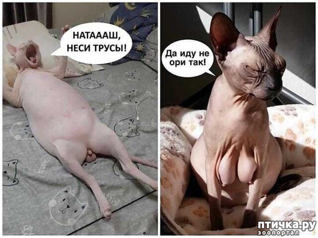 ���� 1: ������� �� �������� �����...