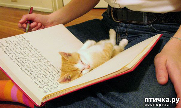 ���� 14: � ���� ����� ����� ������?