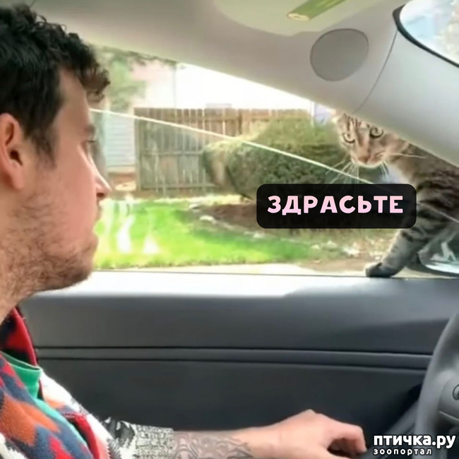 ���� 1: ��������