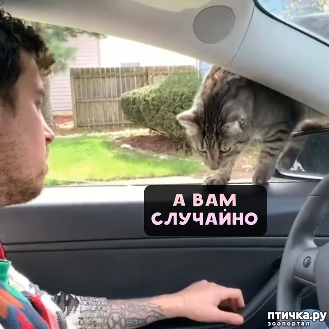 ���� 2: ��������