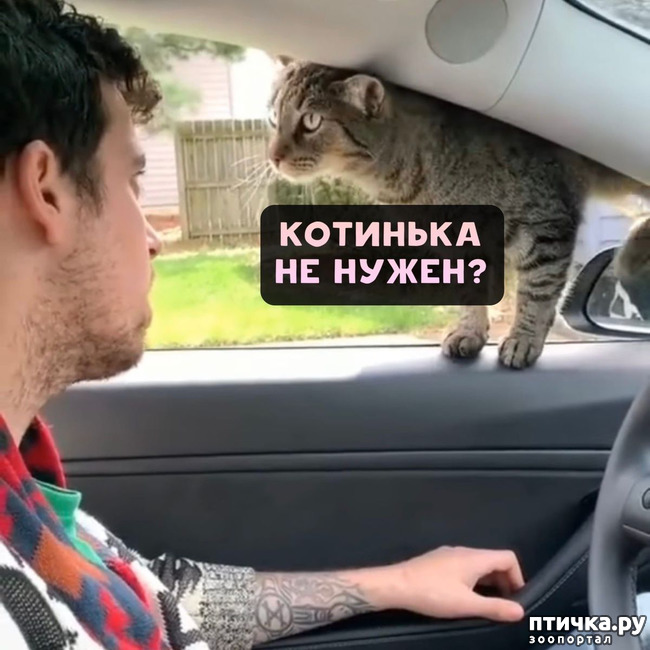 ���� 3: ��������