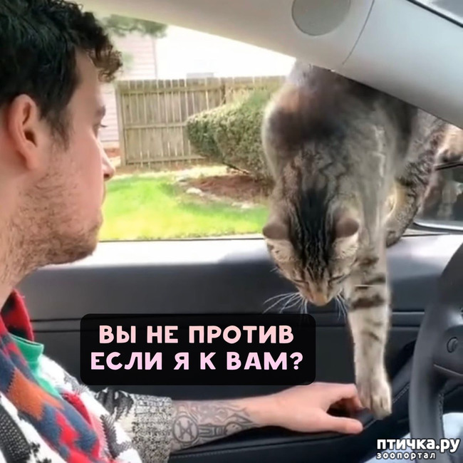 ���� 4: ��������