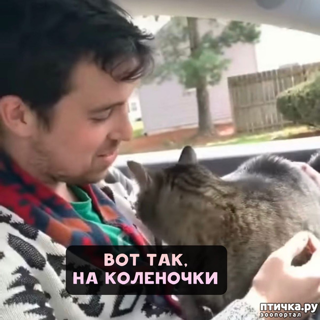 ���� 5: ��������