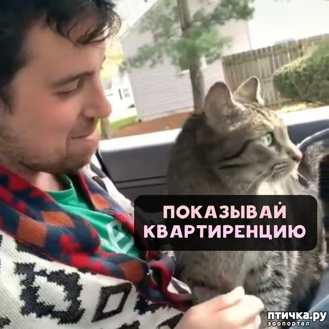 ���� 8: ��������