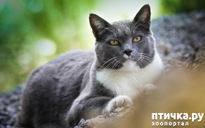 ����: � ������